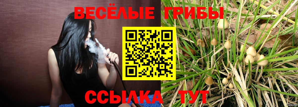Псилоцибиновые грибы мицелий  Вход с VPN  Кемерово 